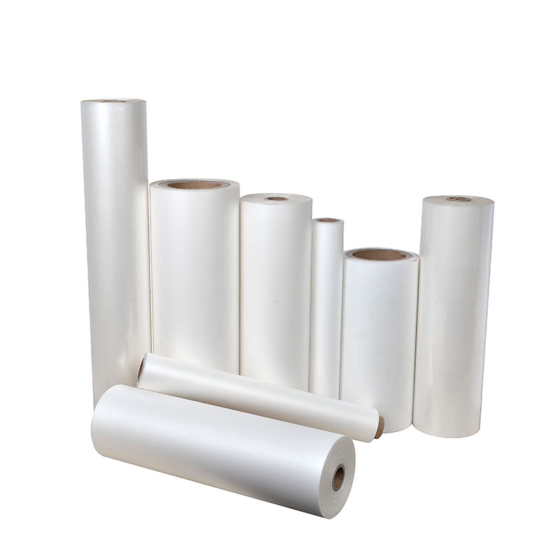 Commoda et incommoda scelerisque laminationis film